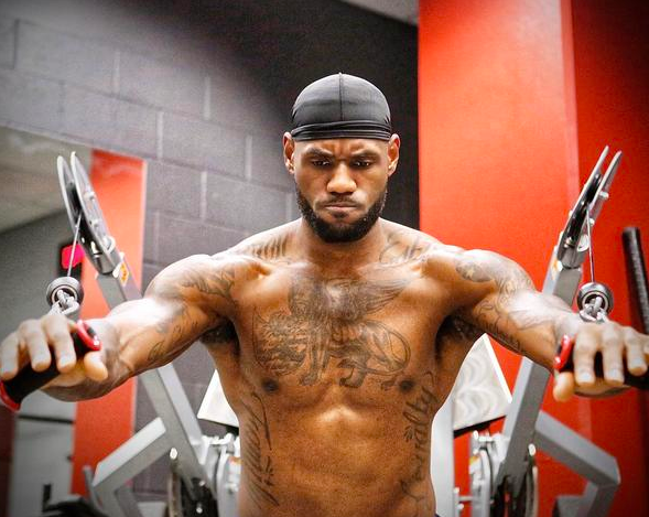 野高飞球的 野高飞球的